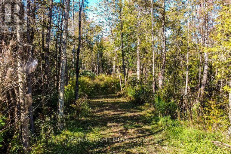 1223 SOUTHWOOD ROAD, Gravenhurst (Morrison), Ontario, P0E1N0