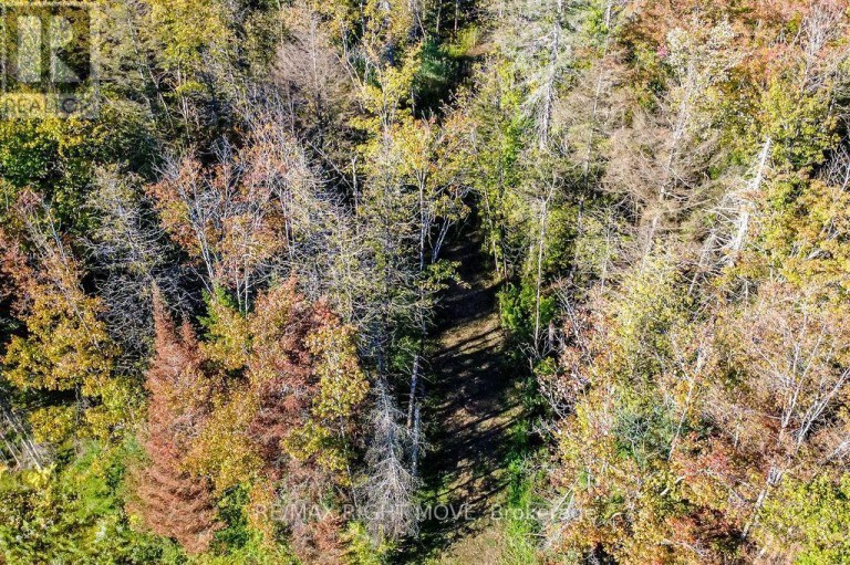 1223 SOUTHWOOD ROAD, Gravenhurst (Morrison), Ontario, P0E1N0