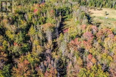 1223 SOUTHWOOD ROAD Gravenhurst (Morrison) Ontario photo 7