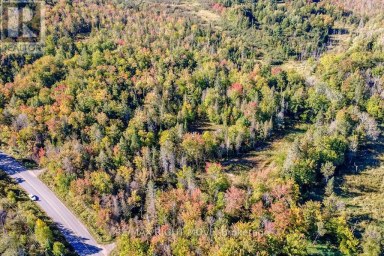 1223 SOUTHWOOD ROAD Gravenhurst (Morrison) Ontario photo 8