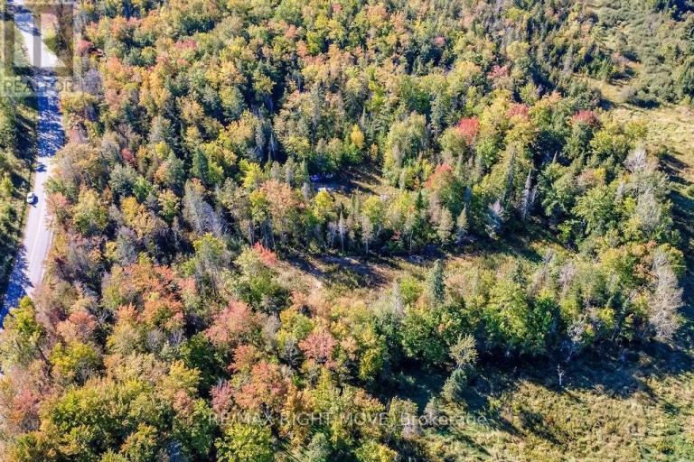 1223 SOUTHWOOD ROAD, Gravenhurst (Morrison), Ontario, P0E1N0