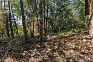 107A RAVENSWOOD LANE Brudenell, Lyndoch and Raglan Ontario photo 38