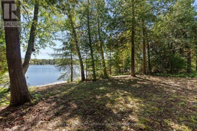 107A RAVENSWOOD LANE Brudenell, Lyndoch and Raglan Ontario photo 40