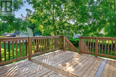 219 MARMORA STREET Quinte West (Trenton Ward) Ontario photo 24