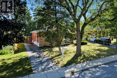 15 CARWYN CRESCENT Hamilton (Ainslie Wood) Ontario photo 44