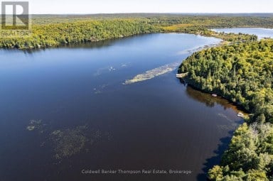 115 SANDWOOD DRIVE, Ryerson, Ontario