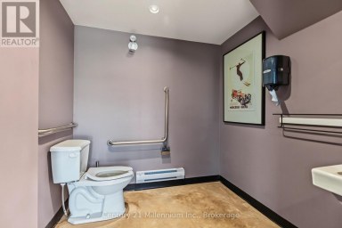 370 RAGLAN STREET Collingwood Ontario photo 35