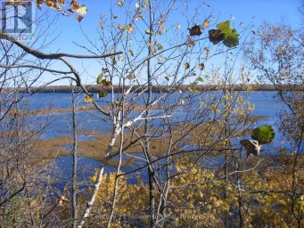 0 LT 26 CON 2 WBR ALBEMARLE CONCESSION South Bruce Peninsula Ontario photo 1