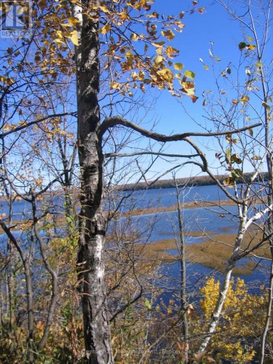 0 LT 26 CON 2 WBR ALBEMARLE CONCESSION, South Bruce Peninsula, Ontario, N0H2T0