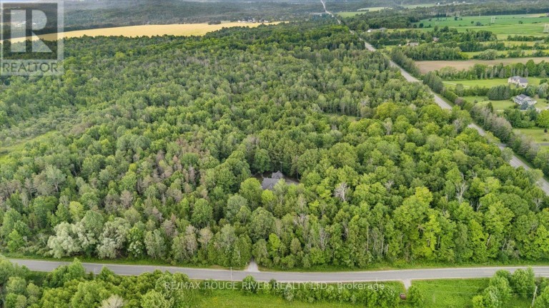 6954 SHILOH ROAD, Clarington, Ontario, L0A1J0