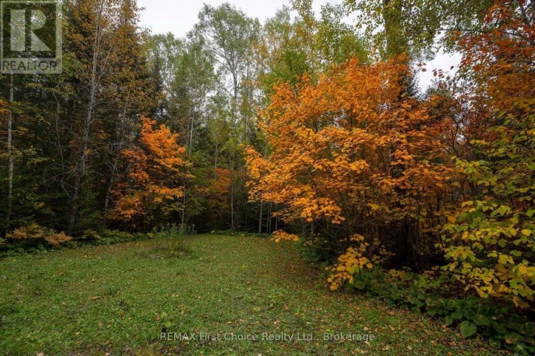 6590 TOWNLINE ROAD, Thunder Bay (McIntyre South), Ontario, P7G1W3