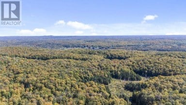 1147 MCCREA ROAD Highlands East (Monmouth) Ontario photo 48