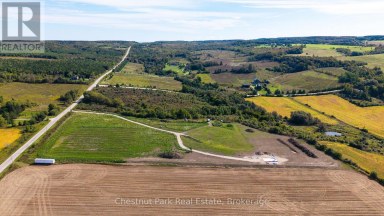 728534 21ST SIDE ROAD Blue Mountains Ontario photo 11