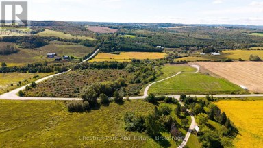 728534 21ST SIDE ROAD Blue Mountains Ontario photo 13
