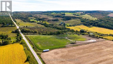 728534 21ST SIDE ROAD Blue Mountains Ontario photo 14