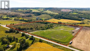 728534 21ST SIDE ROAD Blue Mountains Ontario photo 6