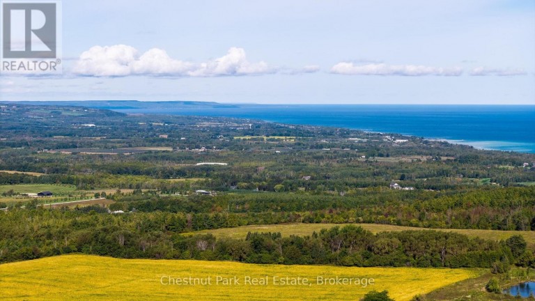 728534 21ST SIDE ROAD, Blue Mountains, Ontario, N0H1J0