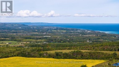 728534 21ST SIDE ROAD Blue Mountains Ontario photo 8