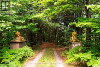 1521 OLD HWY 117 Lake of Bays (Franklin) Ontario photo 45