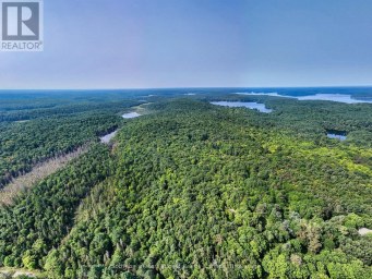 1045 B BROWNS BRAE ROAD Lake of Bays (Ridout) Ontario photo 1