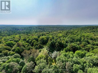 1045 B BROWNS BRAE ROAD Lake of Bays (Ridout) Ontario photo 13