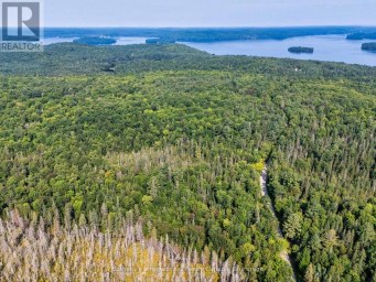 1045 B BROWNS BRAE ROAD Lake of Bays (Ridout) Ontario photo 4