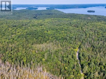 1045 B BROWNS BRAE ROAD Lake of Bays (Ridout) Ontario photo 6