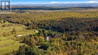 758441 GIRL GUIDE ROAD Georgian Bluffs Ontario photo 38