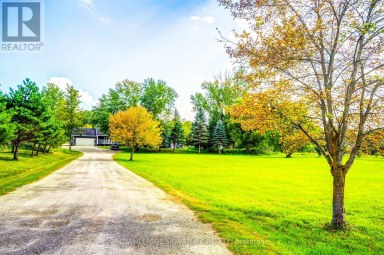 3232 15TH SIDE ROAD New Tecumseth Ontario photo 6