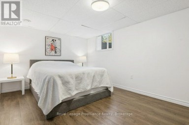 19 MILLIGAN DRIVE Tyendinaga (Tyendinaga Township) Ontario photo 28