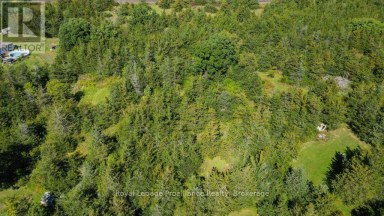 19 MILLIGAN DRIVE Tyendinaga (Tyendinaga Township) Ontario photo 47