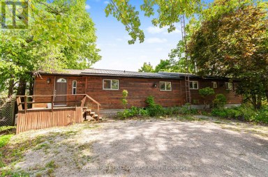 103 PENINSULA DRIVE Trent Lakes Ontario photo 11