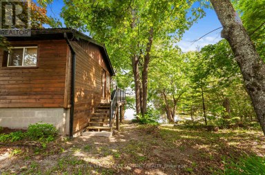 103 PENINSULA DRIVE Trent Lakes Ontario photo 12