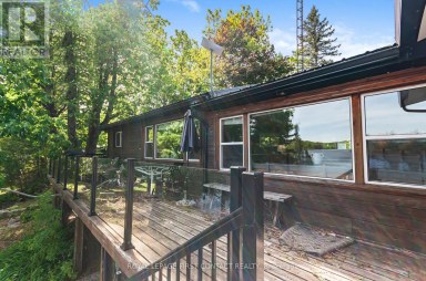 103 PENINSULA DRIVE Trent Lakes Ontario photo 7