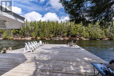 13-1630 MUSKOKA DISTRICT ROAD 38 ROAD Muskoka Lakes (Medora) Ontario photo 28