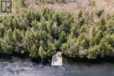 13-1630 MUSKOKA DISTRICT ROAD 38 ROAD Muskoka Lakes (Medora) Ontario photo 40