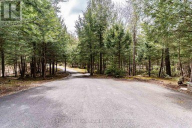 13-1630 MUSKOKA DISTRICT ROAD 38 ROAD Muskoka Lakes (Medora) Ontario photo 44