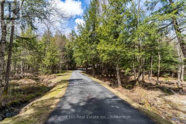 13-1630 MUSKOKA DISTRICT ROAD 38 ROAD Muskoka Lakes (Medora) Ontario photo 45