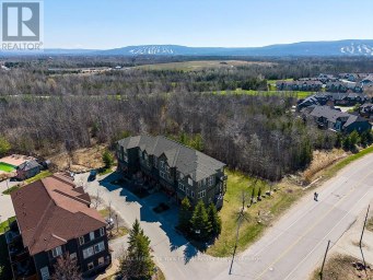 69 JOSEPH TRAIL Collingwood Ontario photo 17