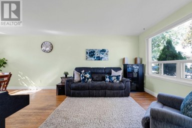234 BEECHY DRIVE Richmond Hill (Crosby) Ontario photo 4