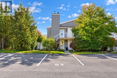 53 - 19 DAWSON DRIVE Collingwood Ontario photo 1