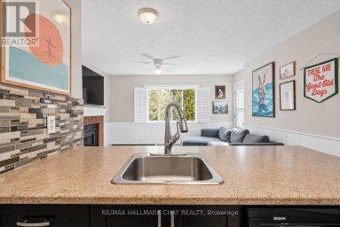 53 - 19 DAWSON DRIVE Collingwood Ontario photo 9