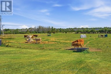 939 KELLY ROAD Prince Edward County (Athol Ward) Ontario photo 32