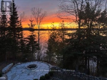4475 KAWAGAMA LAKE ROAD Algonquin Highlands (Sherborne) Ontario photo 2