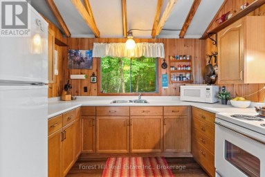 4475 KAWAGAMA LAKE ROAD Algonquin Highlands (Sherborne) Ontario photo 41
