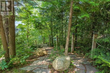 4475 KAWAGAMA LAKE ROAD Algonquin Highlands (Sherborne) Ontario photo 43