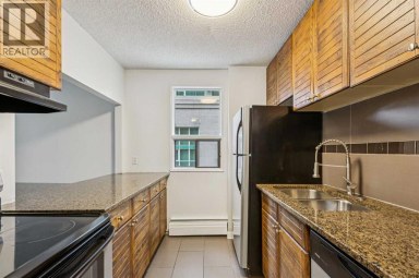 306, 718 12 Avenue SW Calgary Alberta photo 6
