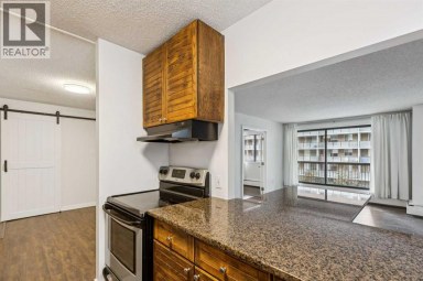 306, 718 12 Avenue SW Calgary Alberta photo 8