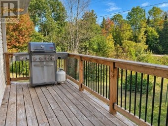 1250 DONROY ROAD Highlands East (Glamorgan) Ontario photo 6