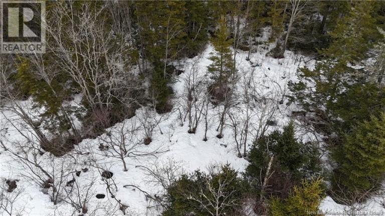 Goldsworthy Road, Black River, New Brunswick, E2J4V1